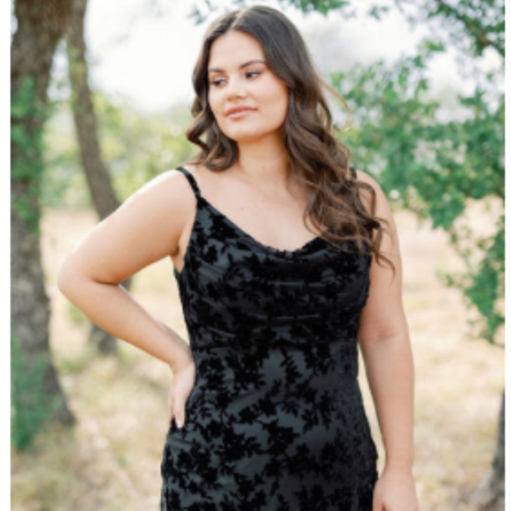 Skye Burnout Velvet Dress Reverly